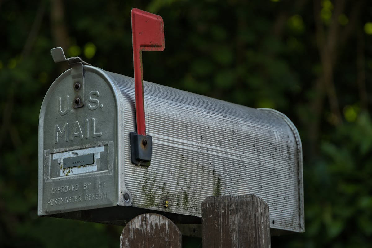 A rustic mailbox surrounded by greenery.